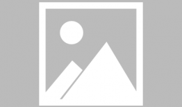 讲故事吃瓜娱乐圈小说,瓜田里的明星秘闻